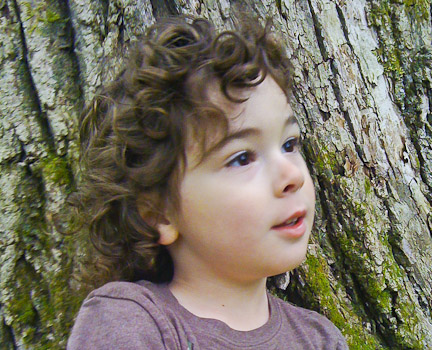 Max at his forest
