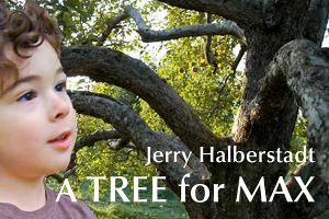cover image A Tree for Max